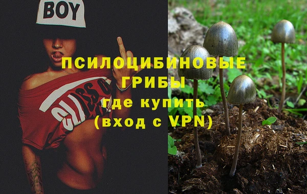 шишки Алексеевка