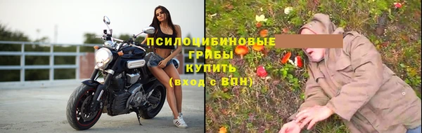 2c-b Алзамай