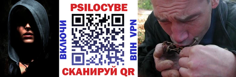 Псилоцибиновые грибы Magic Shrooms  Пласт 